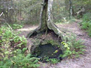 caves 006